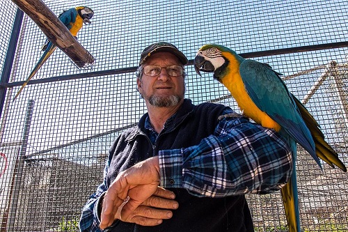 bird breeders in nebraska
